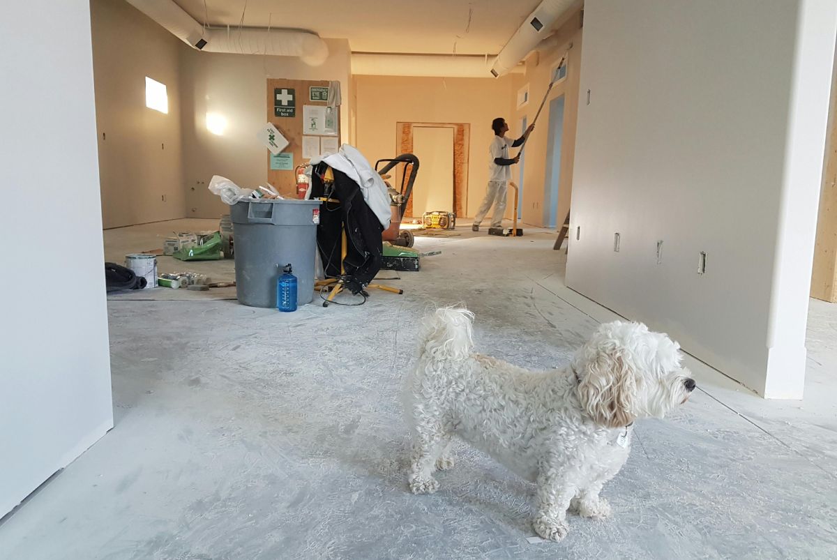  Interior Design
