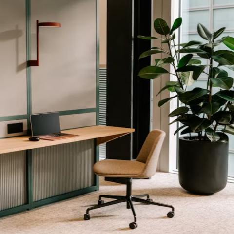 commercial-interior